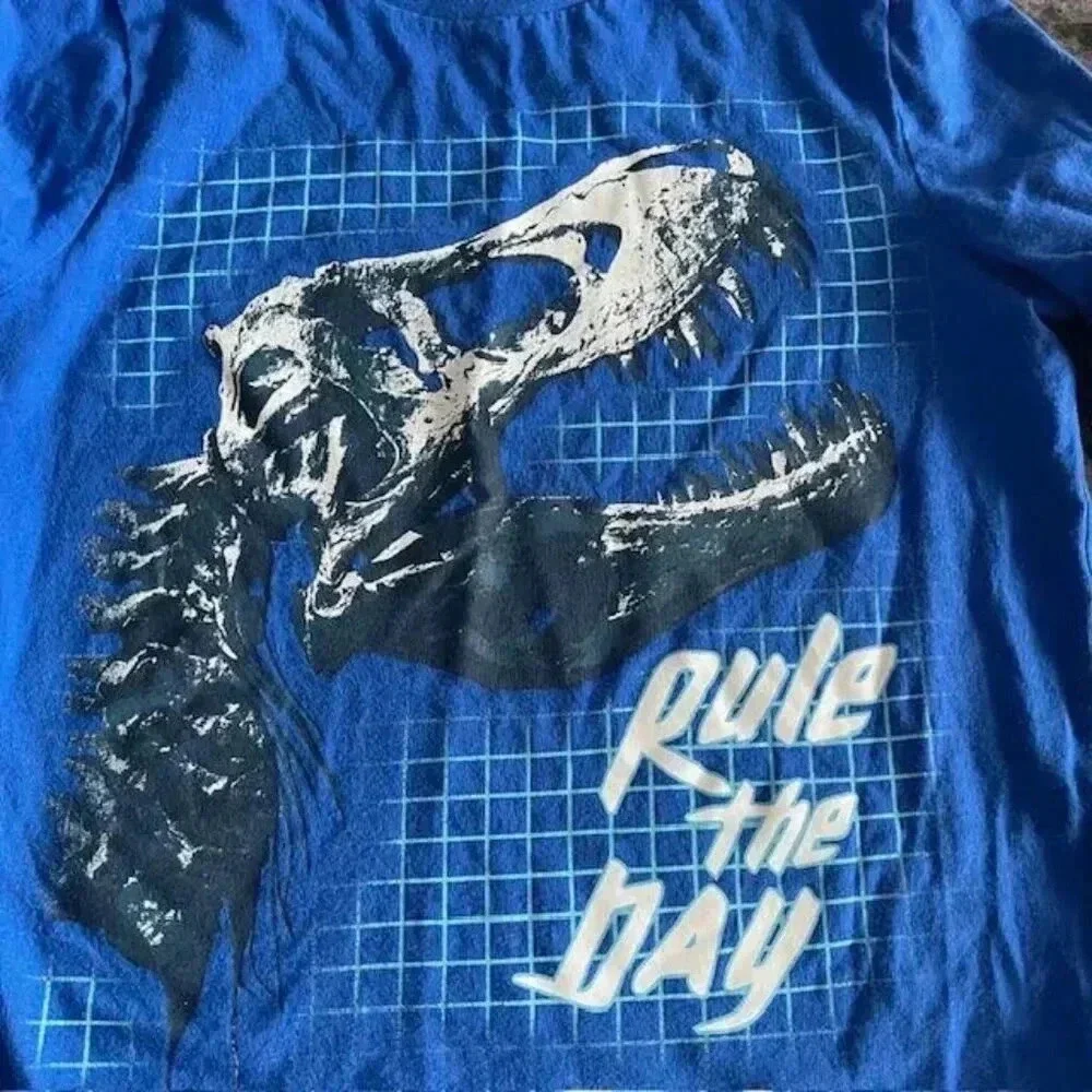 Gap Kids Graphic Long-Sleeve T-Shirt - Blue with Dinosaur Design - Size Small
